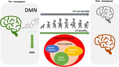 Estrogen, Cognitive Performance, and Functional Imaging Studies: What Are We Missing About Neuroprotection?